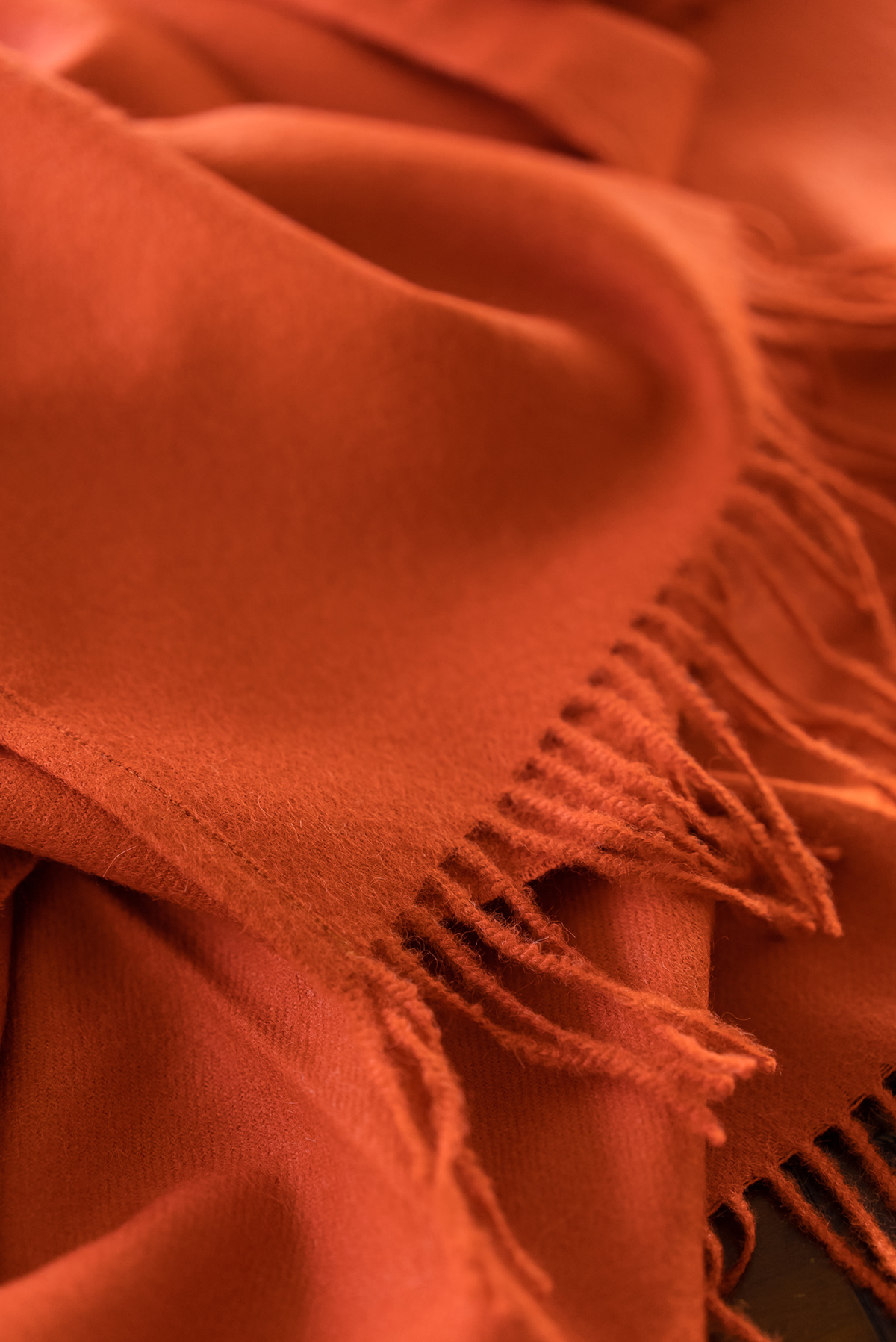 Paracas Cape —Orange - Imagen 2